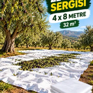 4x8 - Zeytin Sergisi