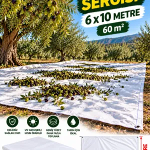 6x10 - Zeytin Sergisi