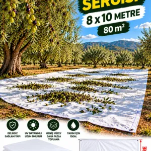 8x10 - Zeytin Sergisi