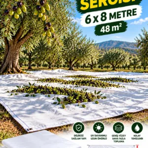 6x8 - Zeytin Sergisi
