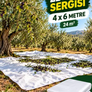 4x6 - Zeytin Sergisi