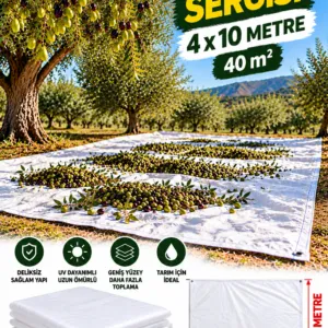 4x10 Zeytin Sergisi