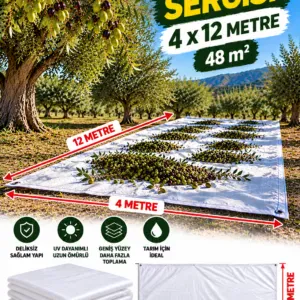4x12 Zeytin Sergisi